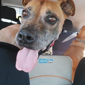 Meet your Posher, Michelle